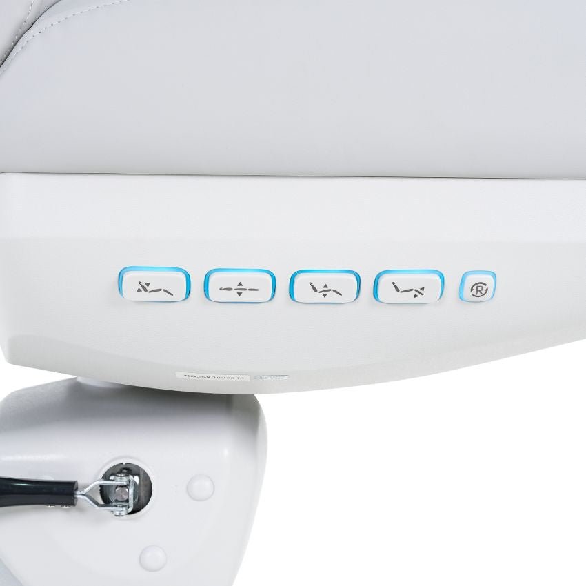 SilverFox 2246BN Electric 4 - Motor Examination Esthetician Chair with Position Memory Function - GreenLife -